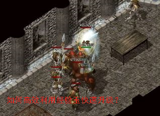 如何高效利用经验玉快速升级? 如何高效利用经验玉快速升级?