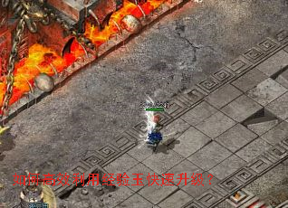 如何高效利用经验玉快速升级? 如何高效利用经验玉快速升级?