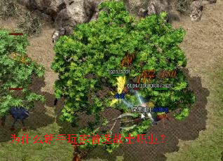 Ϊʲô���������ѡսʿְҵ��