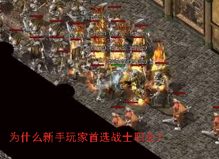 Ϊʲô���������ѡսʿְҵ��