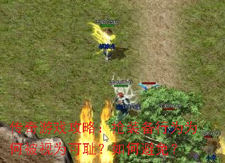 ������Ϸ���ԣ���װ����ΪΪ�α���Ϊ�ɳܣ���α��⣿