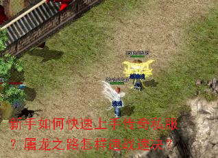 新手如何快速上手传奇私服?屠龙之路怎样速战速决? 新手如何快速上手传奇私服?屠龙之路怎样速战速决?