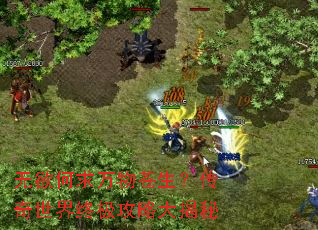 无欲何求万物苍生?传奇世界终极攻略大揭秘 无欲何求万物苍生?传奇世界终极攻略大揭秘