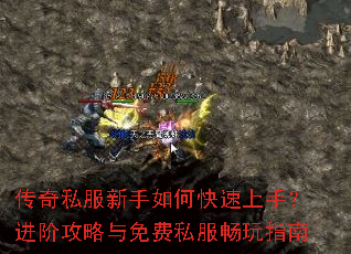 ����˽��������ο������֣����׹��������˽������ָ��