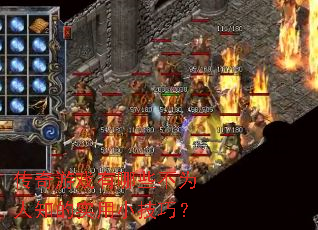 ������Ϸ����Щ��Ϊ��֪��ʵ��С���ɣ�