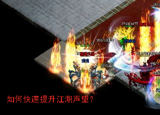 ��ο�����������������