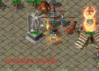 ��ο�����������������