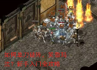 ��ε�������Ц���귨����������ȫ����