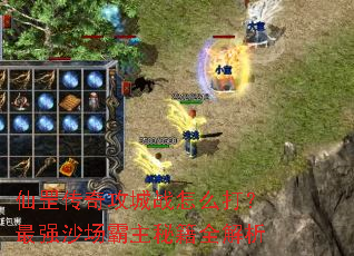 ����湥��ս��ô����ǿɳ�������ؼ�ȫ����