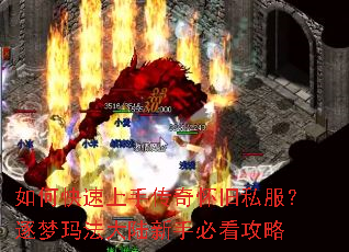 ��ο������ִ��滳��˽���������귨��½���ֱؿ�����