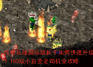 ����˽�����ʰ�������ο���������100��С�ױ���˾��ȫ����