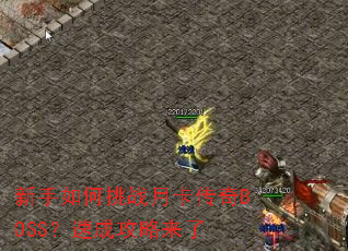 ���������ս�¿�����BOSS���ٳɹ�������