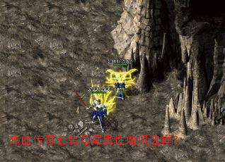 ��Ѫ������װ�����������ѡ��