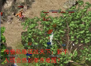 ����˽����ս���£�������ӻ�������Щ���⣿