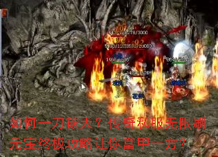 ���һ�����죿����˽������ˢԪ���ռ��������㸻��һ����