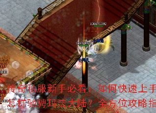 传奇私服新手必看:如何快速上手?怎样驰骋玛法大陆?全方位攻略指南 传奇私服新手必看:如何快速上手?怎样驰骋玛法大陆?全方位攻略指南