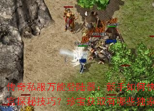 传奇私服万能登陆器:新手如何快速掌握迷宫探秘技巧?珍宝获取有哪些独家秘诀? 传奇私服万能登陆器:新手如何快速掌握迷宫探秘技巧?珍宝获取有哪些独家秘诀?