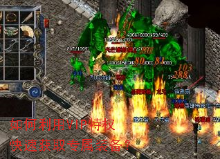 �������VIP��Ȩ���ٻ�ȡר��װ����