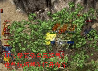 ����װ��ȫ����������Щ���ɰ�����������