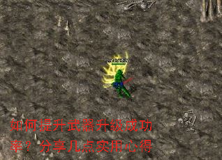 ����������������ɹ��ʣ���������ʵ���ĵ�