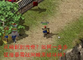 �����µ����棿���һ����������ѩս�������ƻ���