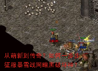 �����µ����棿���һ����������ѩս�������ƻ���