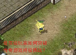 �ǻҼ�������ͻ�ƴ�����Ϸ�ռ���ս��