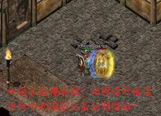 �߼�װ�����ʵͣ���������ϻ������еļ�Ʒװ����ȡ���ʣ�