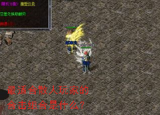 最适合散人玩家的合击组合是什么? 最适合散人玩家的合击组合是什么?