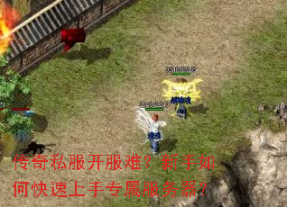 传奇私服开服难?新手如何快速上手专属服务器? 传奇私服开服难?新手如何快速上手专属服务器?
