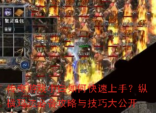 ������ϷС����ο������֣��ݺ��귨�ر������뼼�ɴ󹫿�