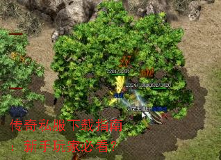 ����˽������ָ�ϣ�������ұؿ���