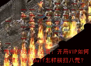 ������Ϸ���ֱؿ�������VIP��λ�ȡ����ʬBuff������ɨ�˻ģ�