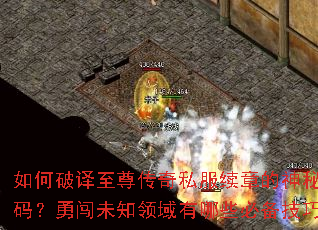 如何破译至尊传奇私服续章的神秘代码?勇闯未知领域有哪些必备技巧? 如何破译至尊传奇私服续章的神秘代码?勇闯未知领域有哪些必备技巧?