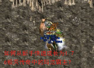 ��δ����ֿ��ٳɳ�Ϊ1.76�������е��귨������