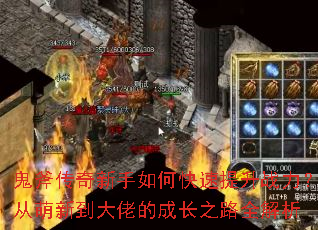 ��������������ο�������ս���������µ����еĳɳ�֮·ȫ����