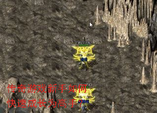 ������Ϸ������ο��ٳɳ�Ϊ���֣�