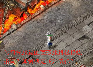 ����˽�����ѱ�̬���ռ�����ָ�ϣ���ο��ٷ�������