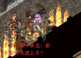 ǧ�꿪��һ������������ο������֣�