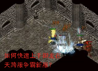 ��ο����������������������·���