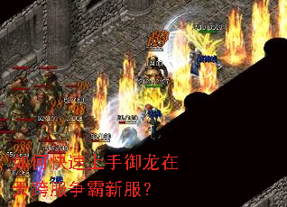 ��ο����������������������·���