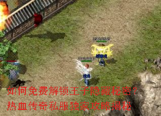 如何免费解锁王子隐藏秘密?热血传奇私服独家攻略揭秘 如何免费解锁王子隐藏秘密?热血传奇私服独家攻略揭秘