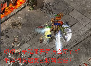 �ུ���˽��������ô�棿������ο��ٱ�ǿ�ư�ȫ����