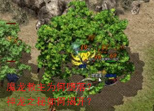 魔龙教主为何堕落?神龙之秘如何揭开? 魔龙教主为何堕落?神龙之秘如何揭开?