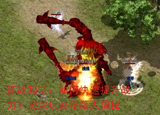 征战玛法:如何快速提升战力?资深玩家秘籍大揭秘 征战玛法:如何快速提升战力?资深玩家秘籍大揭秘