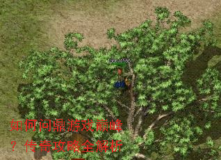 ����ʶ���Ϸ�۷壿���湥��ȫ����