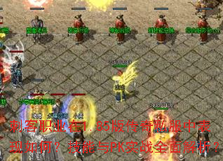 刺客职业在1.85版传奇私服中表现如何?技能与PK实战全面解析? 刺客职业在1.85版传奇私服中表现如何?技能与PK实战全面解析?