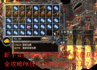 ������ο��������ȼ���װ����ȡȫ����PK������ʤ�ؼ��󹫿���