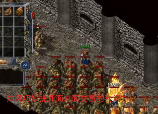 ���������������潻�׵�����