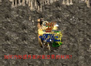 ���������������潻�׵�����